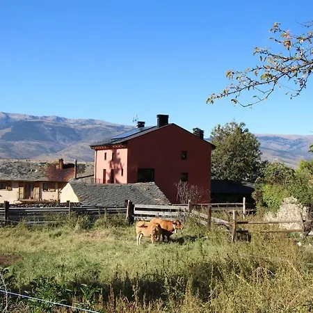 Cal Barne, Acogedor Con Jardin En Lägenhet